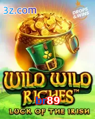 br89 slot wild wild riches
